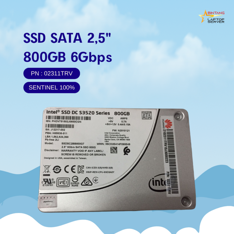 Detail SSD SATA Intel 2.5 inch 800GB