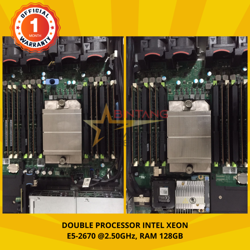 Dual Processor Server Dell R620