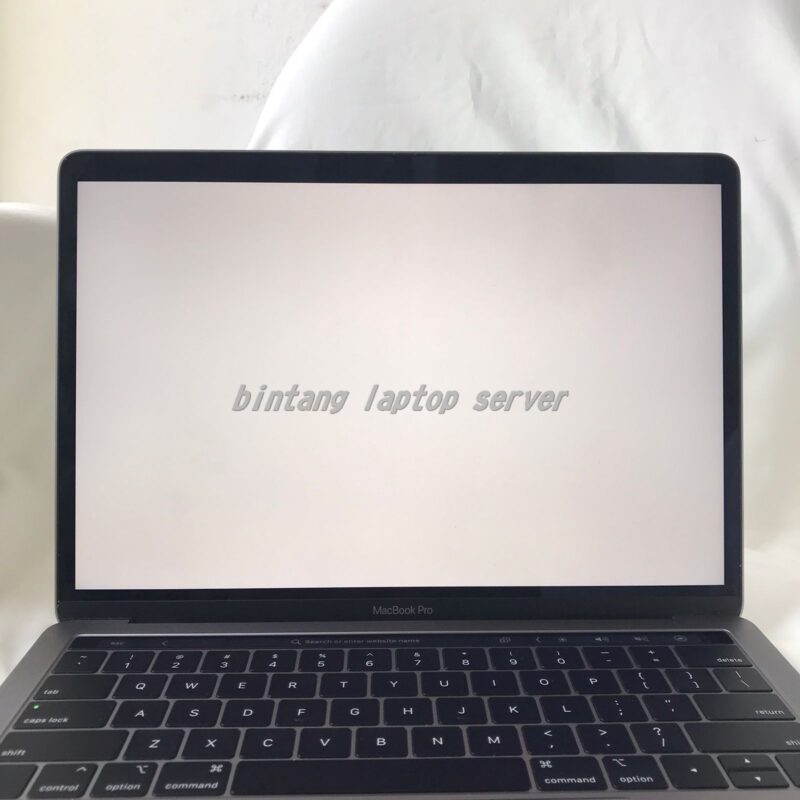 Screen Display Macbook 13" inch 2019