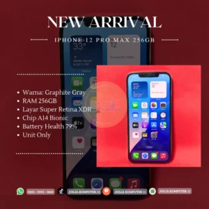 iphone 12 pro max 256gb