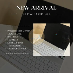 Go Pixel 12